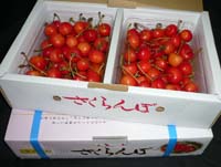 P1020983-a.jpg