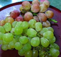 画像 032.jpg-a.jpg