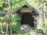 2010.5.3~4 (11).jpg-a.jpg