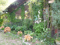 2010.5.3~4 (62).jpg-a.jpg