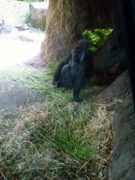 上野動物園