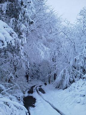 雪　雪！