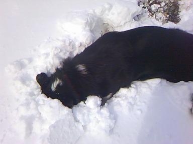 こうた　雪が大好き