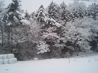 ３月３１日　雪景色