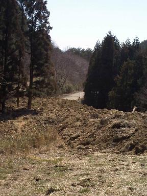 道路を覆う土砂