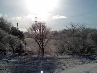 雪化粧　その３