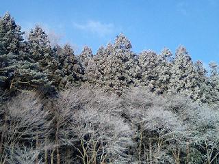 雪化粧　その４