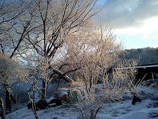 雪化粧　その２