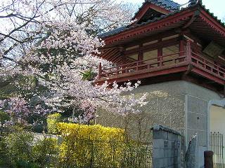 常林寺　門