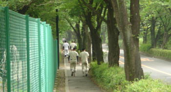 洋平&健太後ろ姿