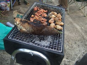 画像 401.jpg