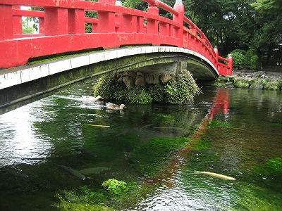 湧玉池