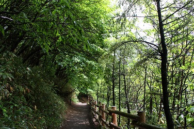 遊歩道