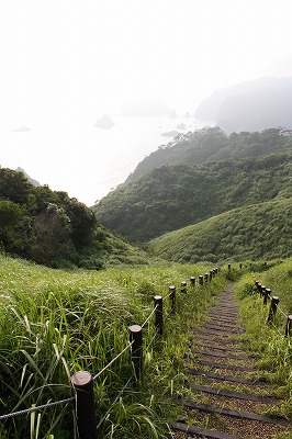 遊歩道