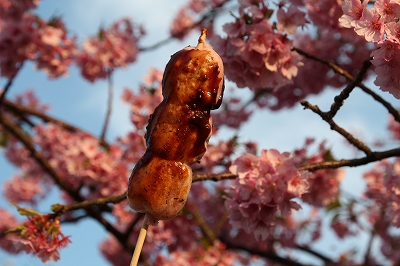 お花とだんご