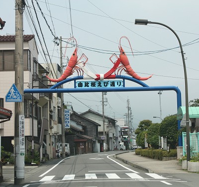 桜えび通り