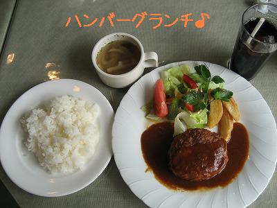 ランチ