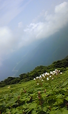伊吹山19.jpg
