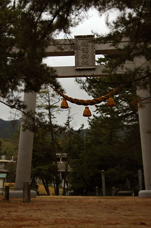 torii.jpg