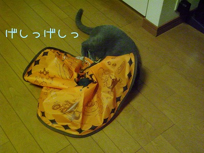 ハッスル～