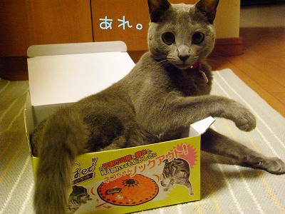 あら