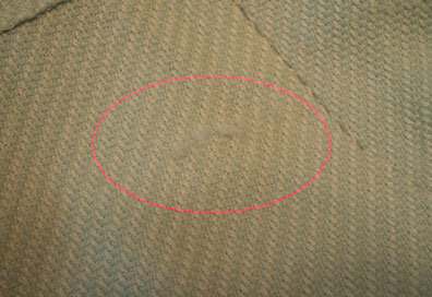 春ワンピアップ