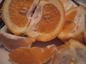 ポットハウス甘夏