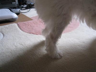 ここ