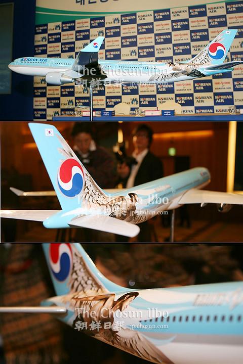 Rainが描かれた大韓航空機