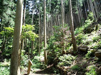 CA3C0119-s.JPG