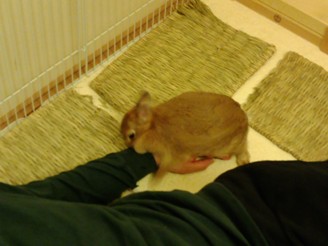 意味不明な行動