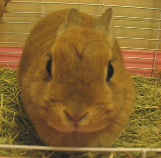 ちゃんと撮ってね