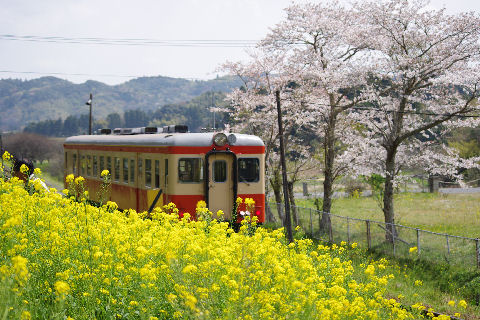 キハ52