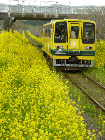 いすみ鉄道