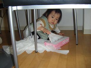 コピー ～ DSCF4540.JPG