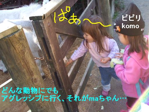 コピー ～ DSCF3579.JPG