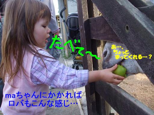 コピー ～ DSCF3581.JPG