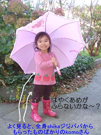 コピー ～ DSCF3515.JPG