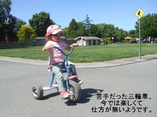 コピー ～ DSCF2050.JPG