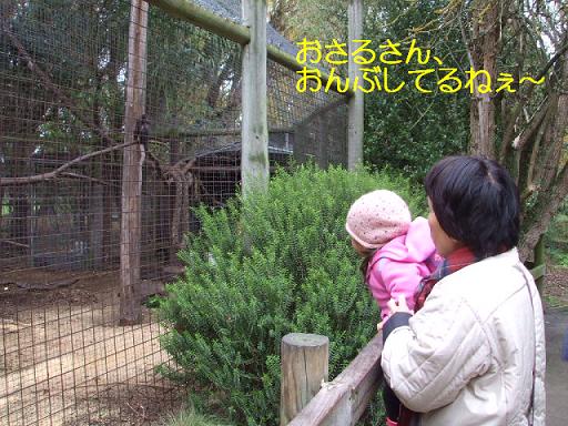 コピー ～ DSCF3486.JPG