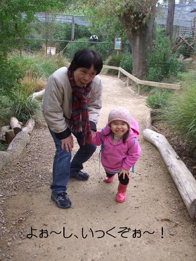 コピー ～ DSCF3491.JPG