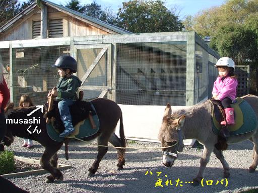 コピー ～ DSCF3588.JPG