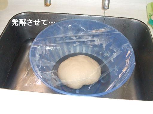 コピー ～ DSCF3787.JPG