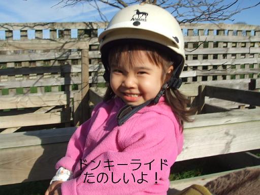 コピー ～ DSCF3592.JPG