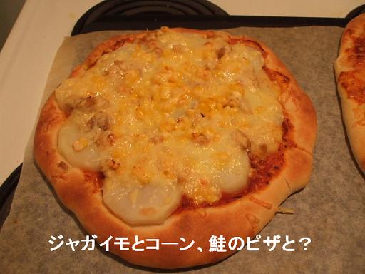 コピー ～ DSCF3798.JPG