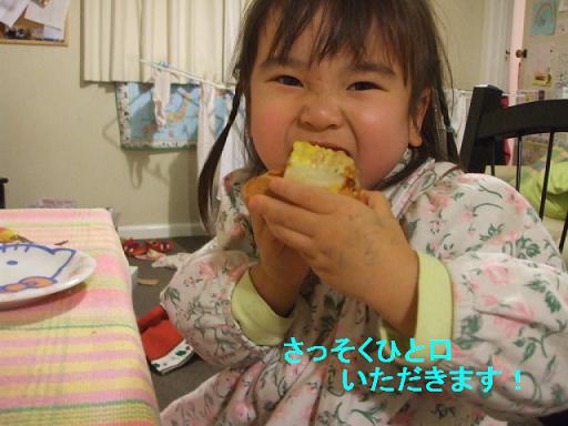 コピー ～ DSCF3815.JPG