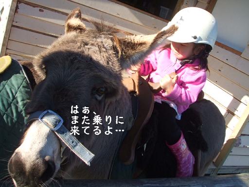 コピー ～ DSCF3775.JPG