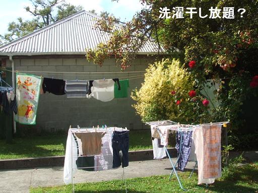 お洗濯.JPG