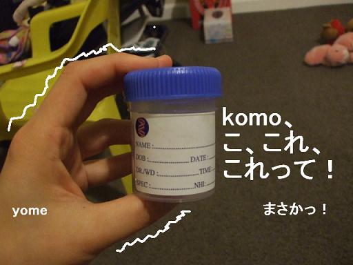 コピー ～ DSCF3685.JPG