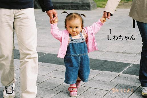 コピー ～ FH020015.JPG